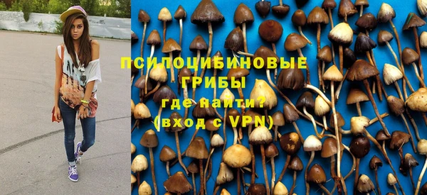 мет Горно-Алтайск