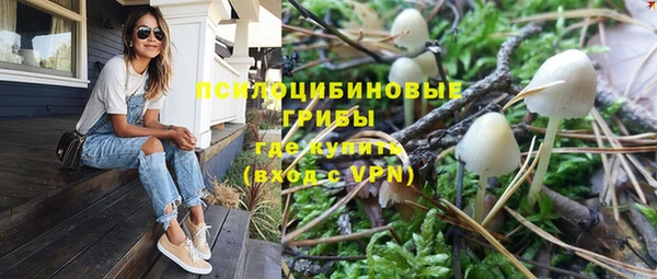 мет Горно-Алтайск