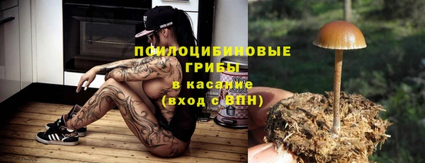 мет Горно-Алтайск