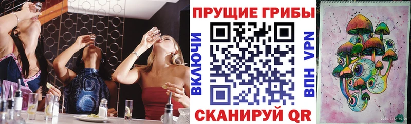 Псилоцибиновые грибы прущие грибы  Купить  Петушки 